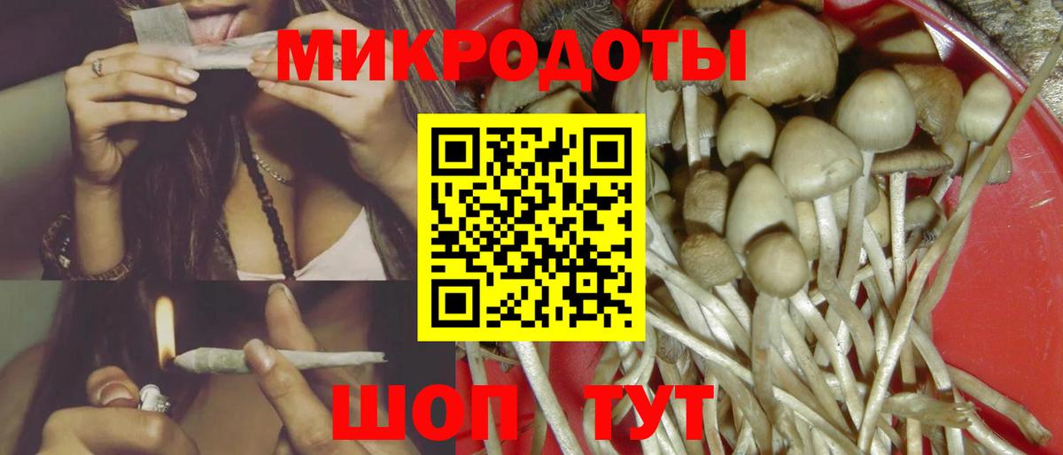 Псилоцибиновые грибы Cubensis  Вход с VPN  Ахтубинск  Псилоцибиновые грибы Magic Shrooms 